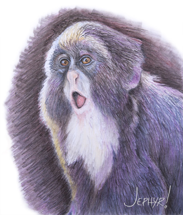 "Startled Monkey"- Pastel Pencil - Copyright 2018, Jephyr (Jeff Curtis), All Rights Reserved